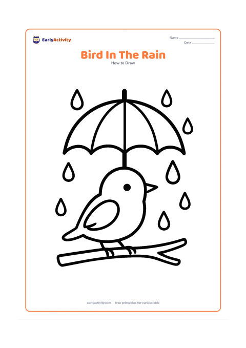 Worksheet: A small bird sits under one large umbrella on a branch while a few rounded raindrops fall around it. Show the bird with an oval body, folded wing, pointed beak and visible feet.