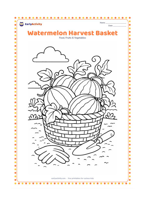 Colouring page: Draw a woven harvest basket overflowing with whole watermelons and leafy vines, placed beside a pair of gardening gloves and a small hand trowel. Add soil texture and a garden row behind.