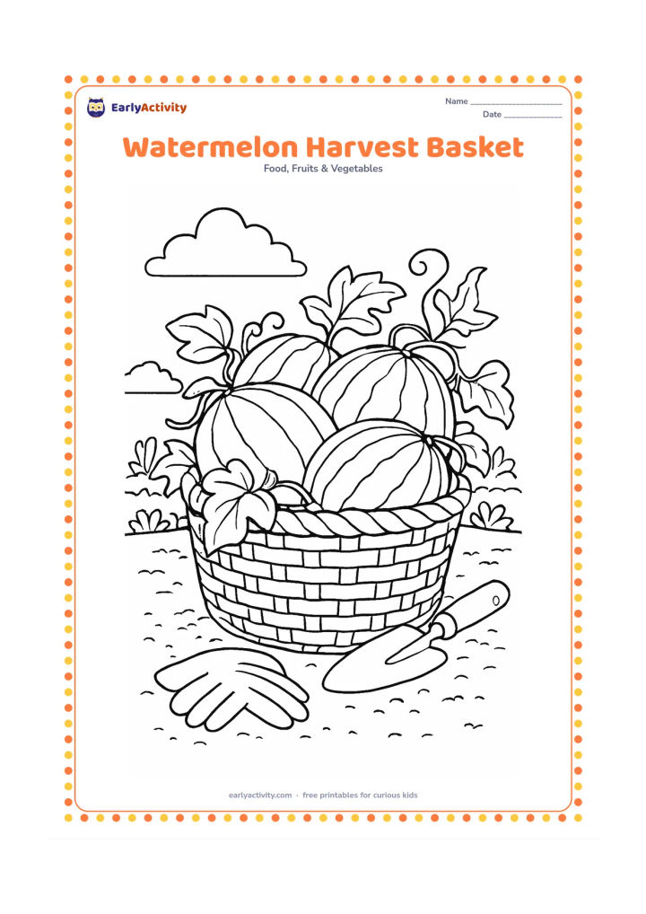 Colouring page: Draw a woven harvest basket overflowing with whole watermelons and leafy vines, placed beside a pair of gardening gloves and a small hand trowel. Add soil texture and a garden row behind.