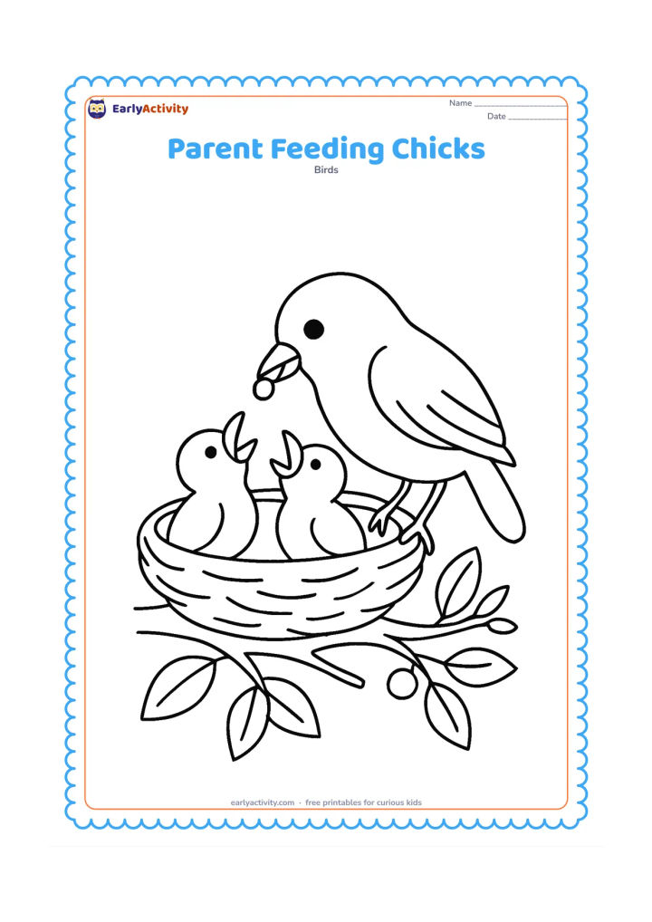 Colouring page: A parent bird leans over a nest to feed two open-beaked chicks. The nest sits on a branch with several leaves, small twigs and a berry nearby.