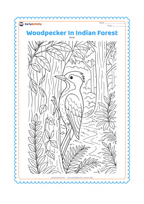 Colouring page: A woodpecker perches on a tree in an Indian forest scene with sal-like leaves, vines, ferns, layered trunks and a distant forest path. The bird should remain the focal point.