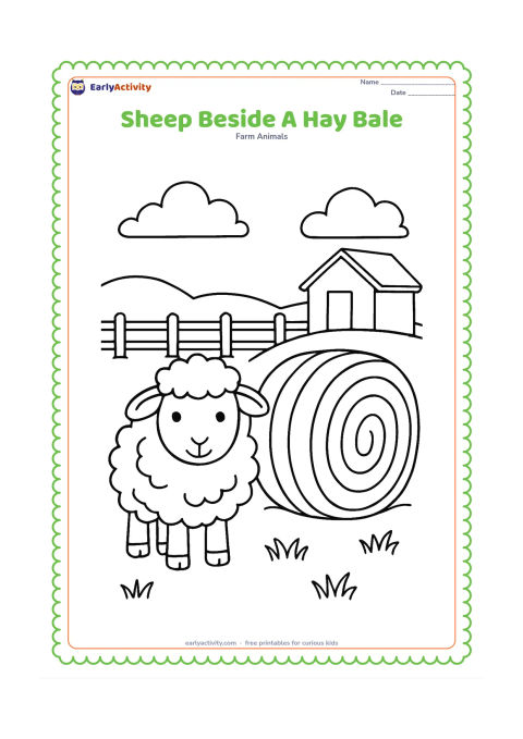 Colouring page: A sheep stands beside a large round hay bale in a fenced field, with a few grass clumps and a small farm shed in the distance. Show simple curved lines on the hay bale.