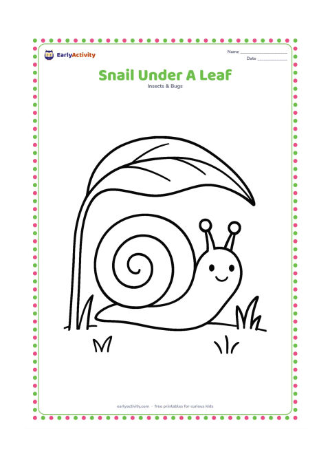Colouring page: Draw a snail resting beneath one large drooping leaf for shade, with its head and feelers peeking out. Include a few simple grass blades and a small open area.