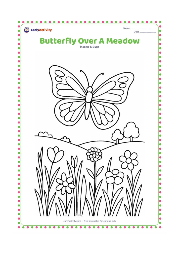 Colouring page: Draw one butterfly flying over a meadow filled with different wildflowers, tall grasses, a low hill, and two distant trees. Show the butterfly from above with its wings spread.