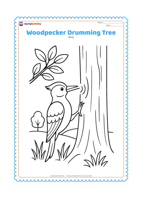 Colouring page: A woodpecker taps rapidly on a tree trunk, with several curved motion marks near its beak to suggest drumming. Add a leafy branch, woodland grasses and a distant tree.