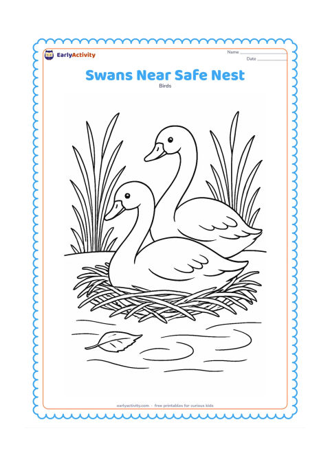 Colouring page: Two adult swans rest beside a low nest made from reeds on a quiet pond bank. Add several tall grasses, a fallen leaf, and water ripples in the foreground; do not show eggs or hatchlings.