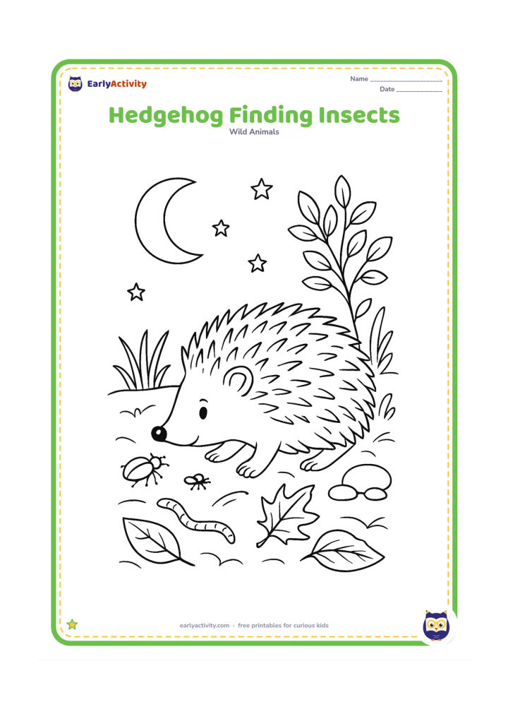Colouring page: Draw a hedgehog foraging at night among roots, grasses and fallen leaves, with its nose near a beetle, worm and small insect. Include a moonlit shrub, stones and a few stars.