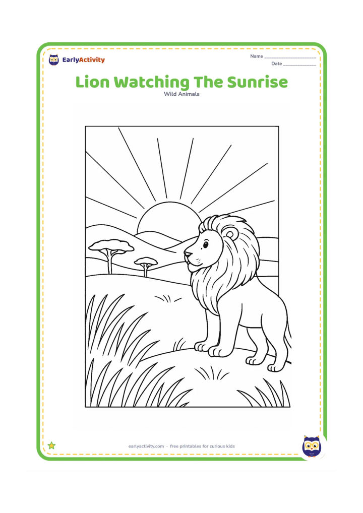 Colouring page: A lion stands on a low grassy ridge watching the sun rise over distant hills. Include long grass, a few acacia-like trees, and broad rays around the sun.