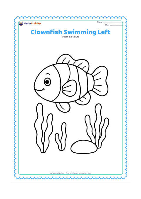 Colouring page: Draw one large clownfish swimming left with its fins spread, surrounded by three simple seaweed shapes and a smooth oval rock. Leave plenty of open space around the fish.