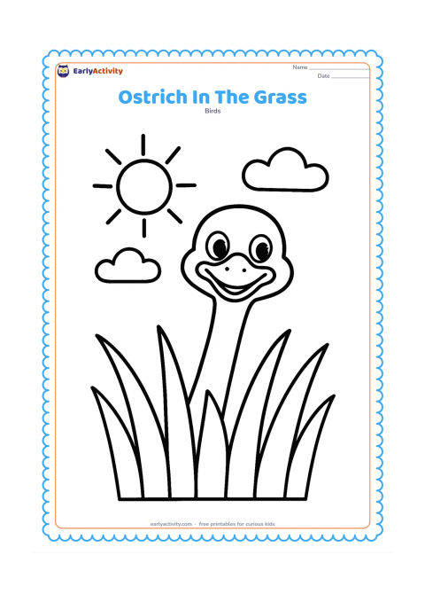 Colouring page: A cheerful ostrich peeks above tall but widely spaced grass, with its head and upper neck clearly visible. Include a large sun and two simple clouds.