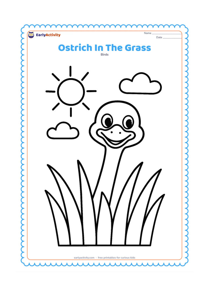 Colouring page: A cheerful ostrich peeks above tall but widely spaced grass, with its head and upper neck clearly visible. Include a large sun and two simple clouds.