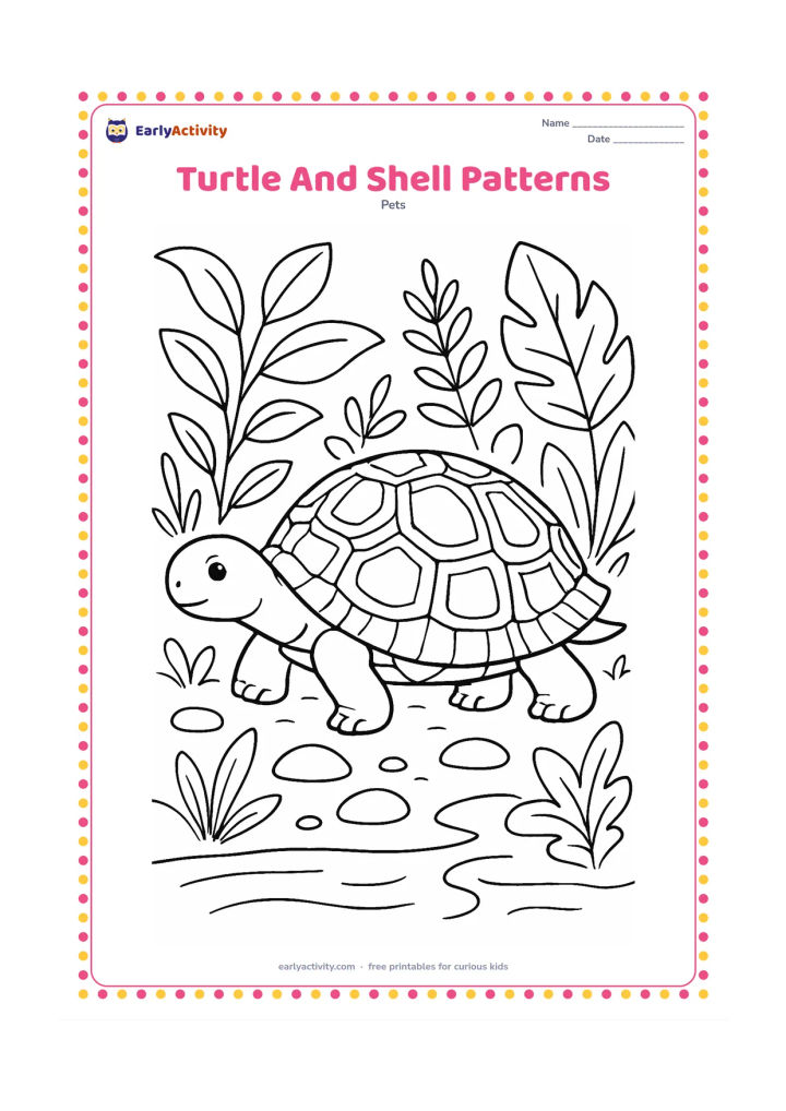 Colouring page: A side-view pet turtle walks through a leafy habitat, showing a large shell divided into many natural sections. Add varied leaves, smooth stones and a shallow water edge.