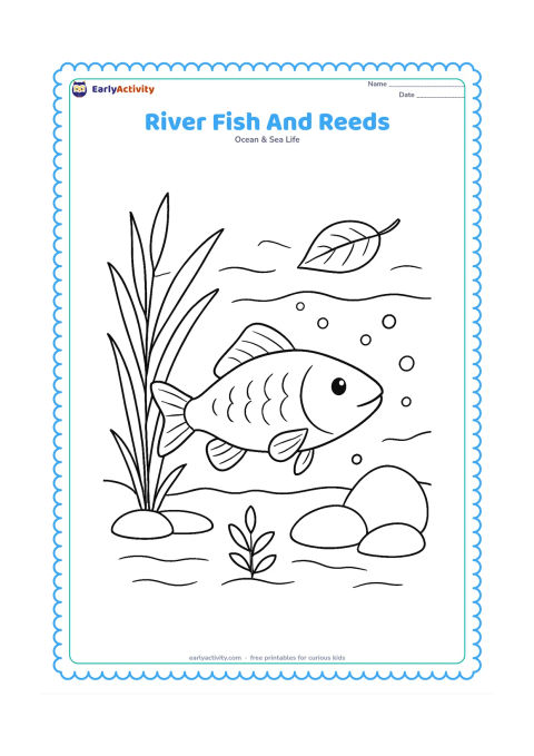 Colouring page: Draw a freshwater fish swimming through a clear river beside tall reeds, smooth stones and a fallen leaf floating near the surface. Add gentle water lines, bubbles and a small river plant.