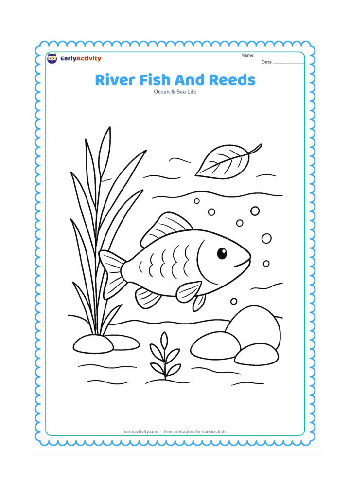 Colouring page: Draw a freshwater fish swimming through a clear river beside tall reeds, smooth stones and a fallen leaf floating near the surface. Add gentle water lines, bubbles and a small river plant.