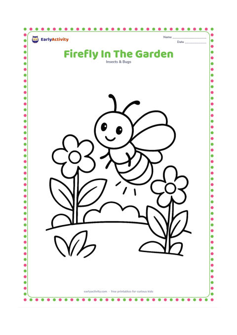 Colouring page: Draw one friendly firefly flying between two large garden flowers, with broad leaves and a low rounded garden border behind it. Its lower abdomen should glow clearly.
