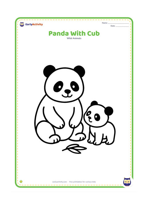 Colouring page: Draw a large panda sitting beside a small cub that is standing and looking up at it. Add one simple bamboo leaf on the ground.