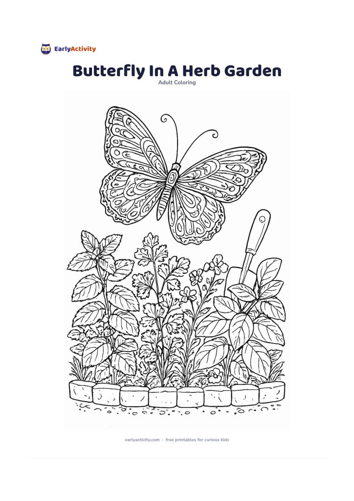 Colouring page: Draw a butterfly hovering over a kitchen herb garden containing mint, coriander-like leaves, basil, and small blossoms. Include a low garden border and a small hand trowel placed in the…