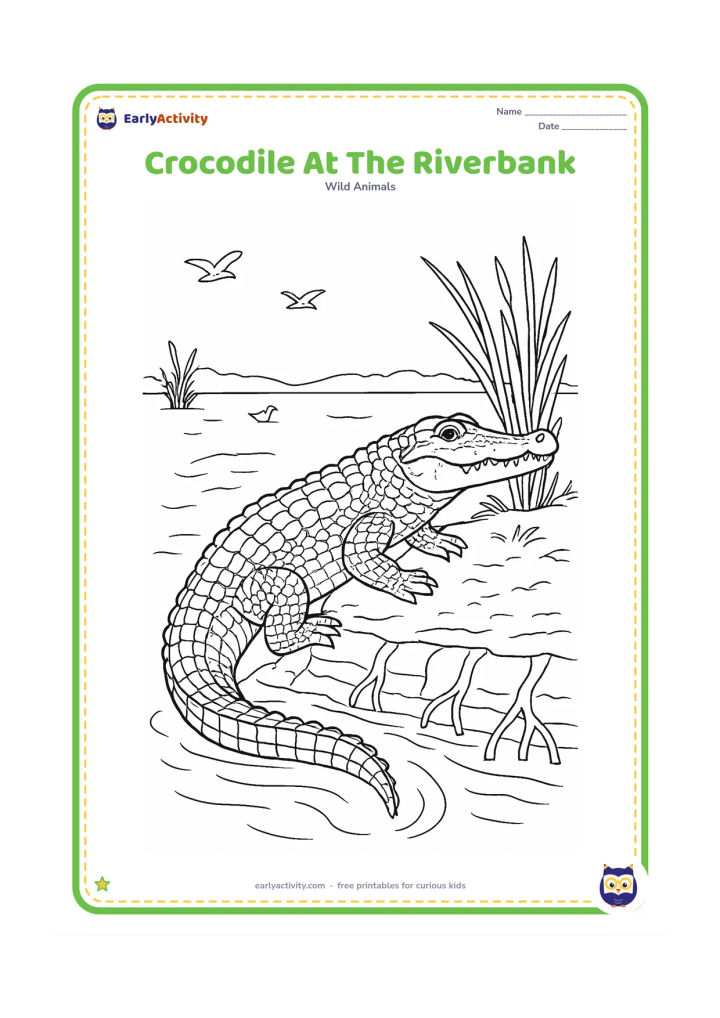 Colouring page: Draw a side-view crocodile climbing onto a riverbank, with detailed scales, strong legs, a long curved tail, layered mud, exposed roots, reeds, and ripples behind it. Include a few…