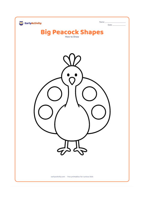 Worksheet: A front-facing peacock assembled from a large oval body, tall curved neck, circle head, simple crest and broad semicircle tail. Show the main shapes as separate bold outlines with three…