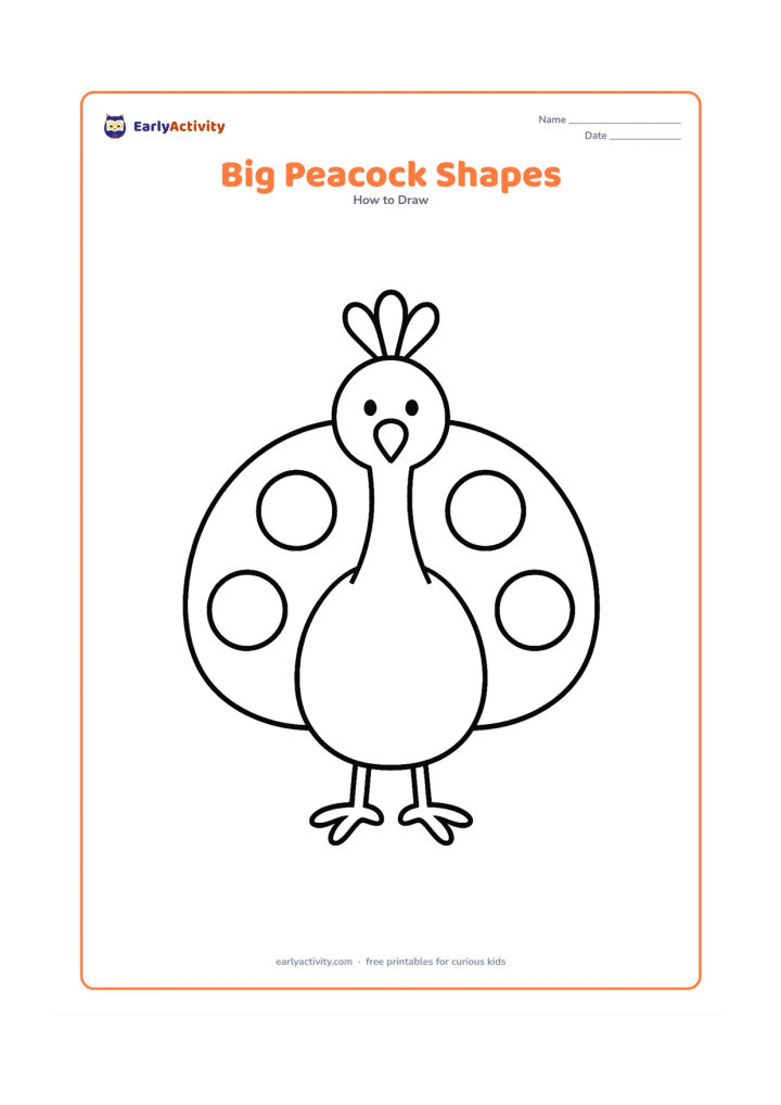 Worksheet: A front-facing peacock assembled from a large oval body, tall curved neck, circle head, simple crest and broad semicircle tail. Show the main shapes as separate bold outlines with three…