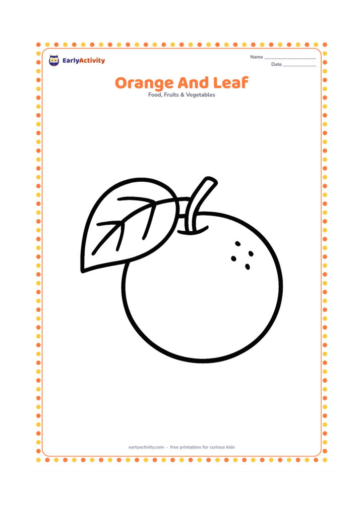Colouring page: Draw a large orange beside one broad leaf and a short twig. Arrange the three shapes clearly with no extra background.