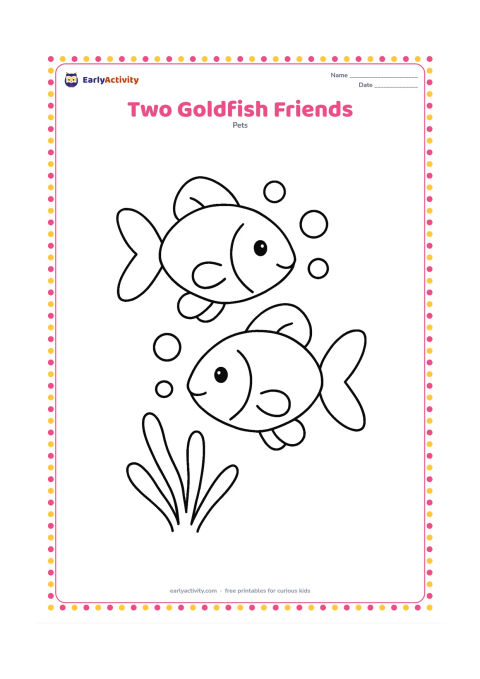 Colouring page: Draw two large rounded goldfish swimming side by side in opposite directions, with a few big bubbles between them. Use only one simple plant shape behind the pair.