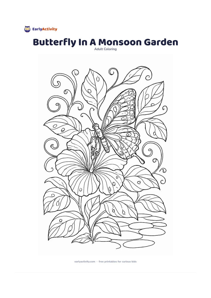 Colouring page: Show a butterfly perched on a hibiscus after rain, with glossy leaves, curling vines, water droplets, and a simple stone path. Include layered hibiscus petals and elaborate wing sections.