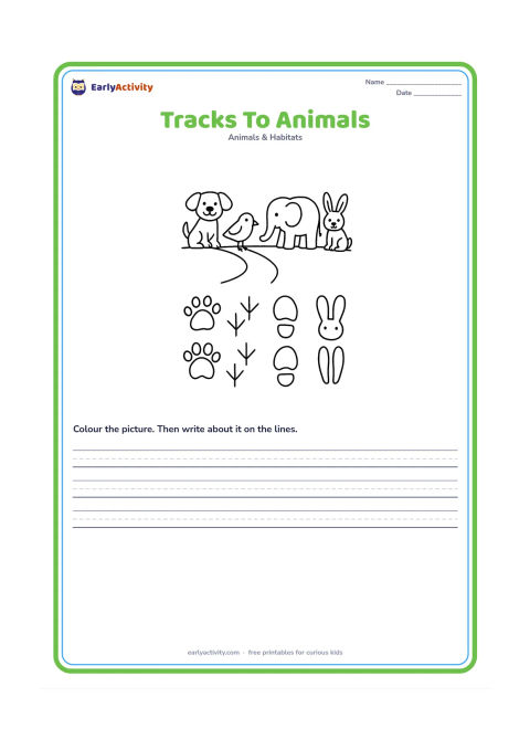 Worksheet: Show four animals at the top of a nature path, a dog, bird, elephant and rabbit, and four clear sets of footprints or tracks below them, with wide gaps for children to match them.