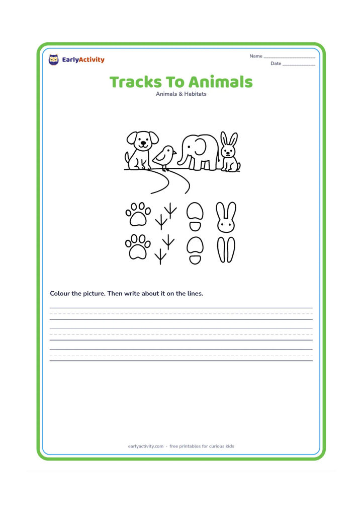 Worksheet: Show four animals at the top of a nature path, a dog, bird, elephant and rabbit, and four clear sets of footprints or tracks below them, with wide gaps for children to match them.