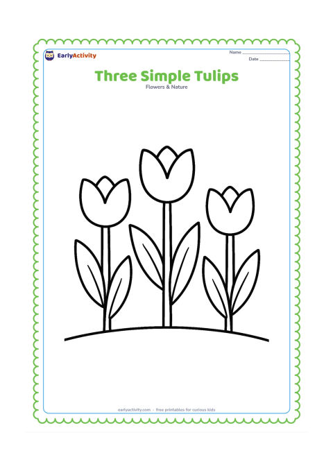 Colouring page: Draw three large tulips at different heights in a row, each with a simple cup-shaped flower, thick stem and two clear leaves. Add only a low curved ground line.