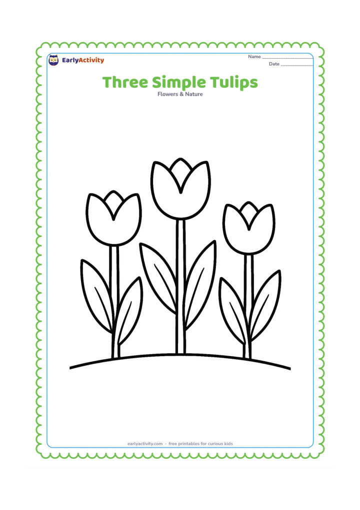 Colouring page: Draw three large tulips at different heights in a row, each with a simple cup-shaped flower, thick stem and two clear leaves. Add only a low curved ground line.