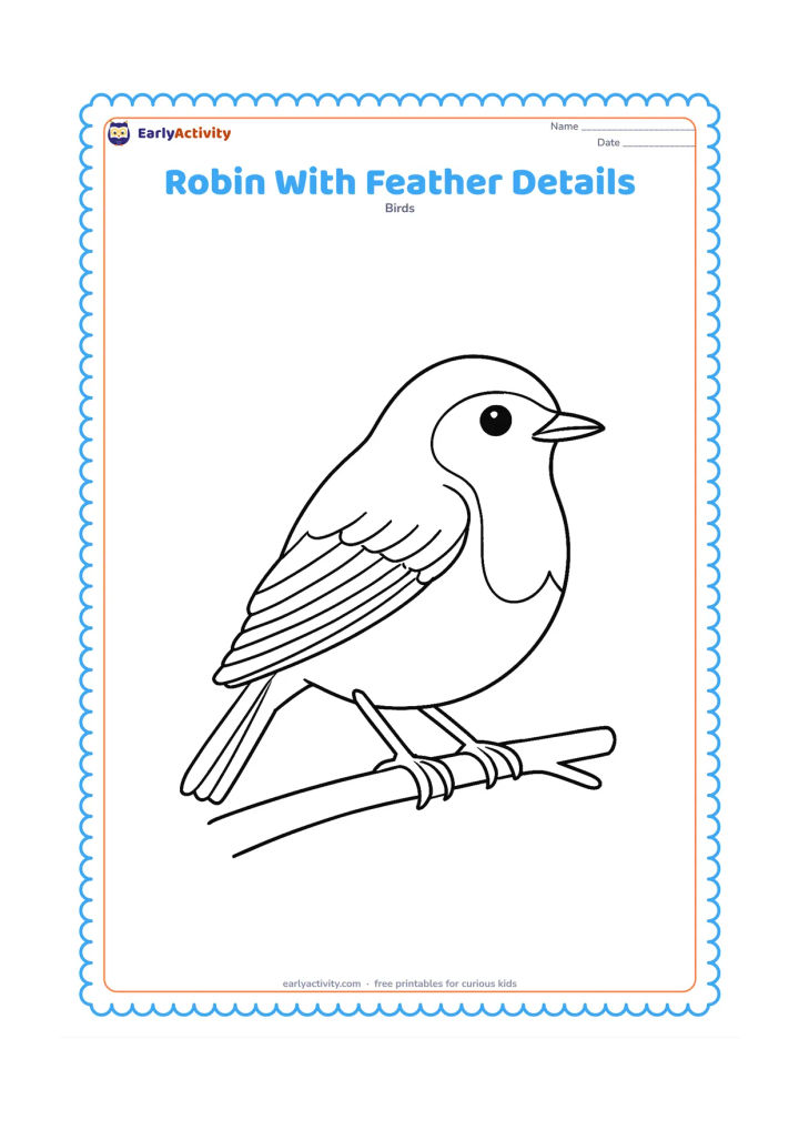 Colouring page: Draw a close side view of a European robin from head to tail, showing the rounded orange-red face and breast area, layered wing feathers, tail feathers, eye, beak and feet. Add a small…