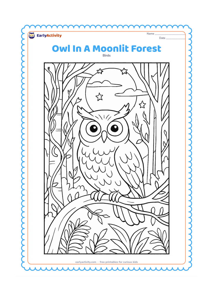 Colouring page: An owl perches on a twisting branch in a dense moonlit forest, with a full moon behind thin clouds, stars, vines, ferns and varied tree trunks.