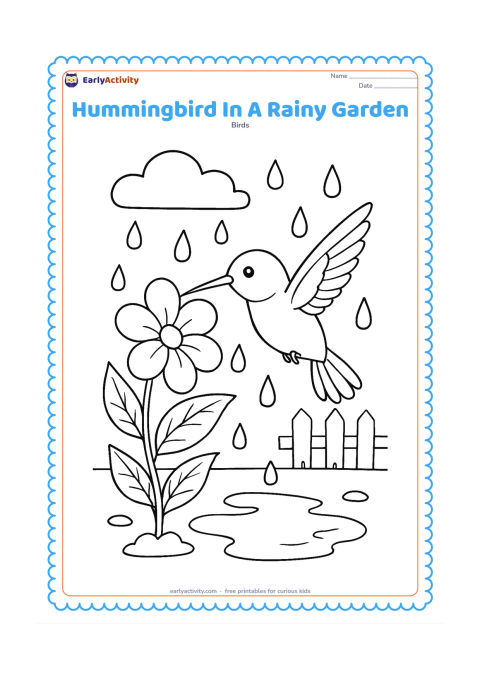 Colouring page: A hummingbird hovers beside a flower after rain, with curved raindrops, wet leaves and a small puddle below. Add a cloud and a distant garden fence.