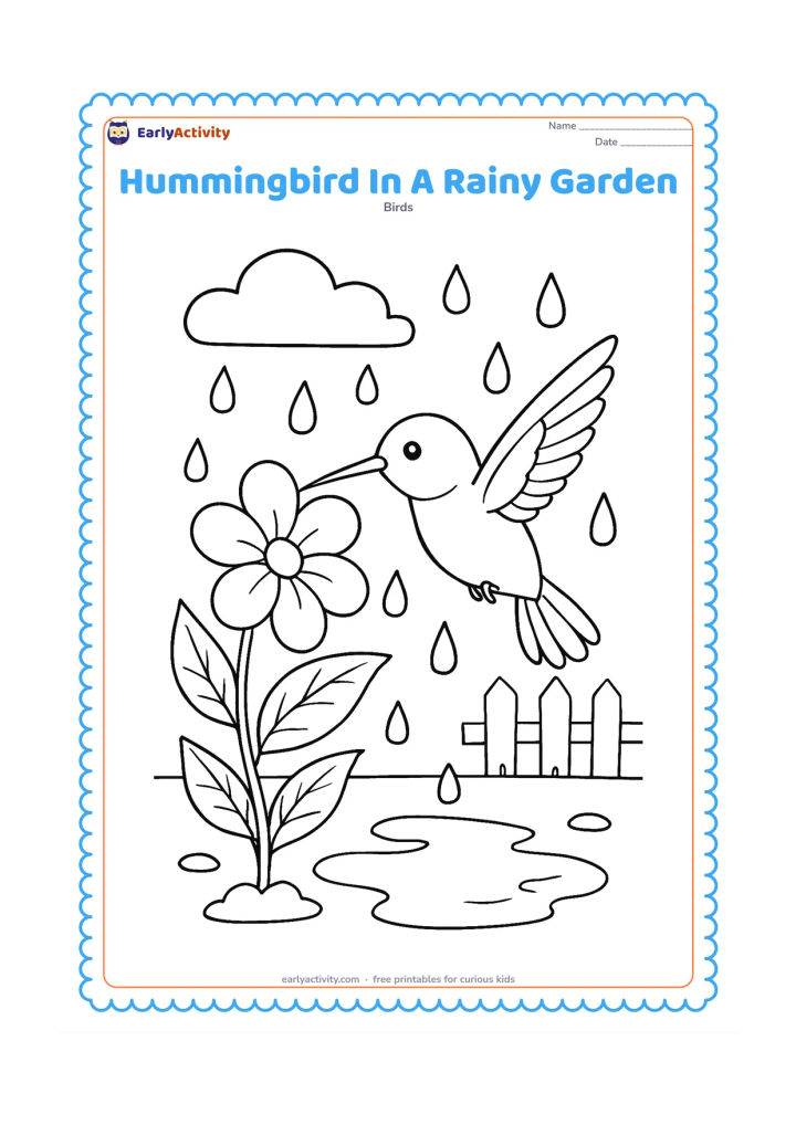 Colouring page: A hummingbird hovers beside a flower after rain, with curved raindrops, wet leaves and a small puddle below. Add a cloud and a distant garden fence.