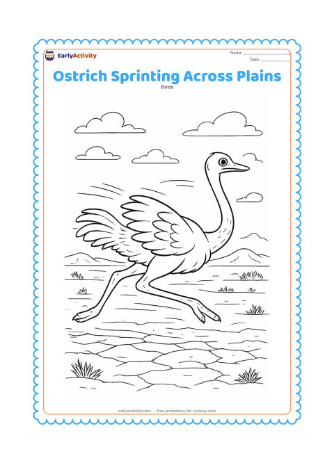 Colouring page: A single ostrich sprints in a dynamic side view across dry plains, with its legs extended, wings balancing the motion and feathers streaming slightly backward. Add cracked earth,…