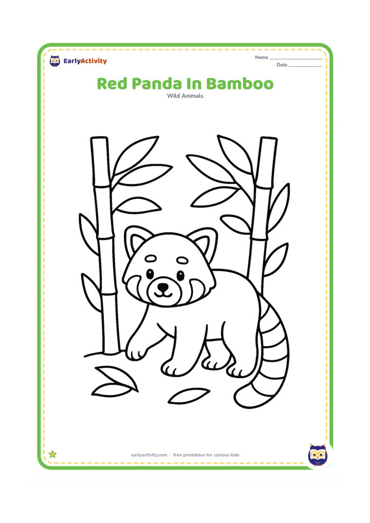 Colouring page: Draw a red panda walking through a small bamboo patch, with its head and front half visible between two thick stalks. Add several large leaves but leave open spaces for easy colouring.