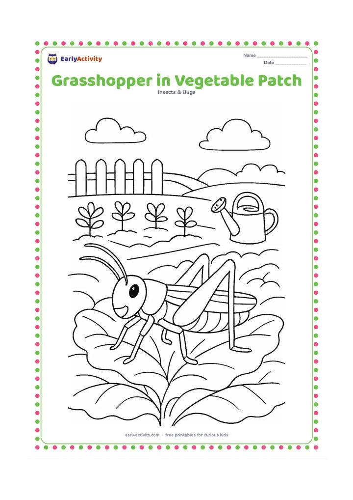 Colouring page: Draw a grasshopper moving across broad vegetable leaves in a garden bed, with simple rows of plants, a small watering can, and a fence in the distance.