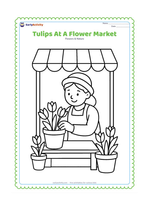Colouring page: Draw a friendly flower seller arranging a bucket of tulips at an outdoor market stall, with several extra flower pots and a simple awning. Do not include any shop signs or writing.