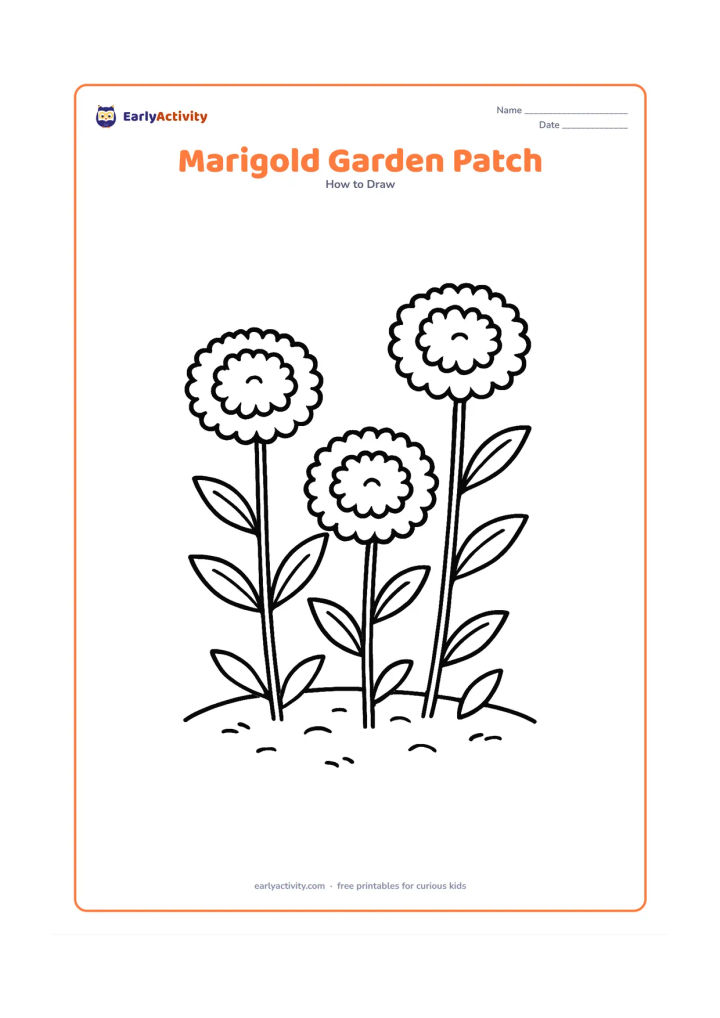 Worksheet: Three round marigold flowers at different heights grow in a small garden patch, each with a leafy stem and simple clustered petal edges. Add a few leaves and short soil lines around them.