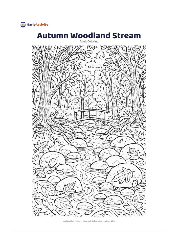 Colouring page: An autumn woodland stream flowing between rounded stones, with fallen leaves, curved tree roots, textured trunks and a small wooden footbridge. Fill the background with overlapping trees…