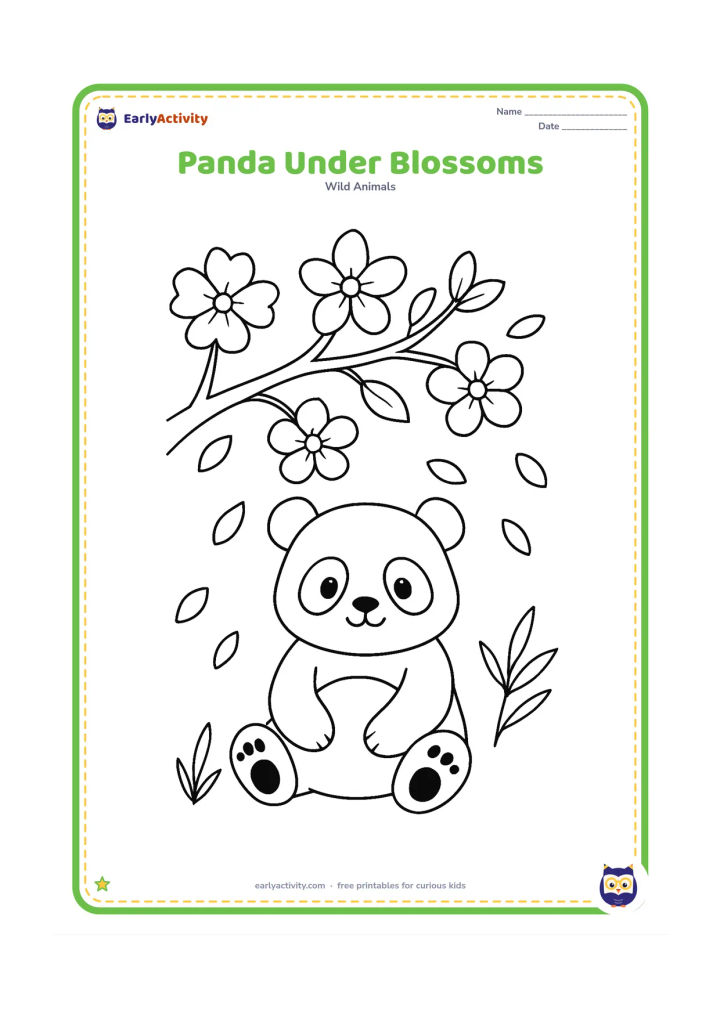 Colouring page: Draw a seated panda beneath a flowering tree branch in spring, with several large blossoms, falling petals and a few bamboo leaves nearby.