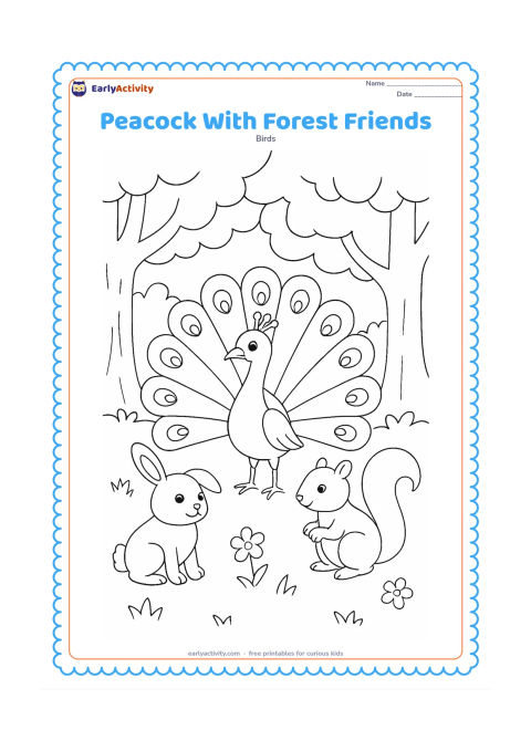 Colouring page: A peacock stands in a forest clearing with a friendly rabbit and a small squirrel nearby. Include tree trunks, layered leaves, grass, and a few flowers.