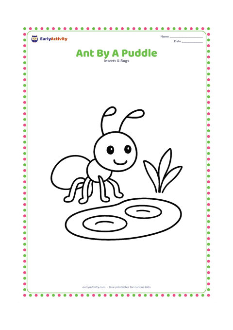 Colouring page: One ant stands beside a shallow puddle with two round ripples. Add a simple plant at the edge of the puddle.