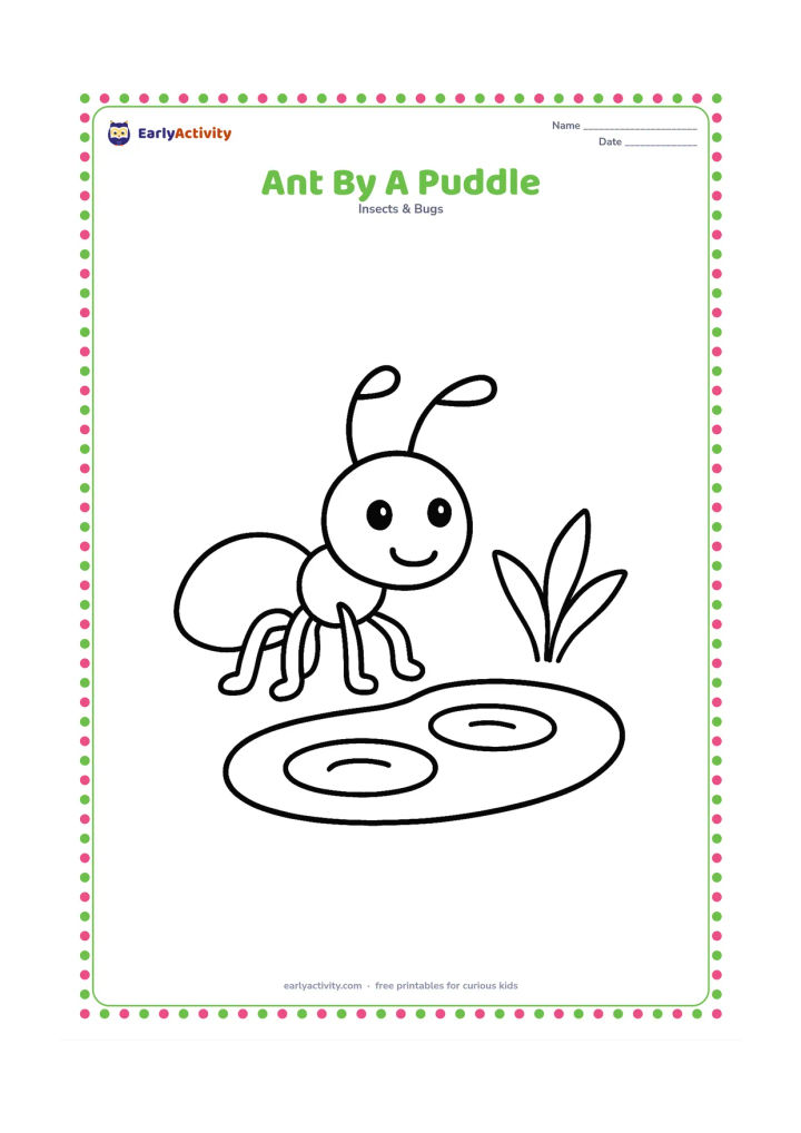 Colouring page: One ant stands beside a shallow puddle with two round ripples. Add a simple plant at the edge of the puddle.