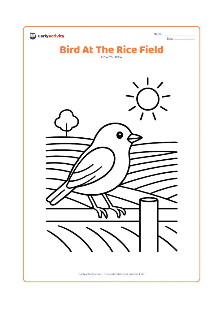 Worksheet: A bird stands on a narrow fence beside an Indian rice field, with layered field lines, a small distant tree and a bright sun. Show the body, wing, beak, tail and feet in a clear side view.