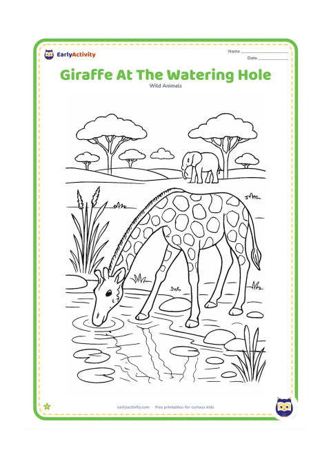 Colouring page: A giraffe lowers its neck to drink at a detailed waterhole surrounded by reeds and smooth rocks. Include reflections, lily pads, a crocodile-free safe shoreline, an elephant in the…
