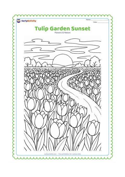 Colouring page: Draw a dense tulip field at sunset with layered rows of flowers, a winding garden path, distant trees and a sky containing a low sun and wispy clouds. Keep the foreground tulips largest.