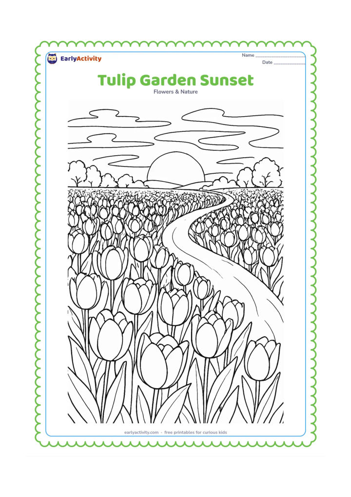Colouring page: Draw a dense tulip field at sunset with layered rows of flowers, a winding garden path, distant trees and a sky containing a low sun and wispy clouds. Keep the foreground tulips largest.