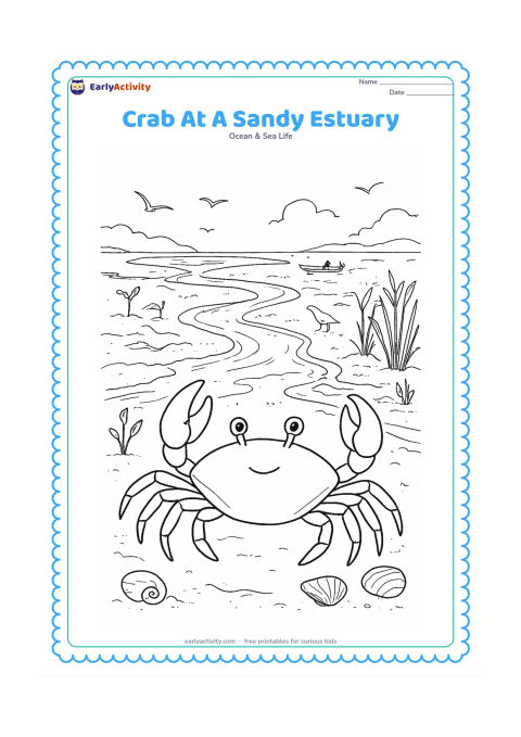 Colouring page: Draw a crab beside the meeting place of a river and sea, with winding water channels, mud flats, mangrove seedlings, shells, reeds and a distant Indian fishing canoe. Include gentle…